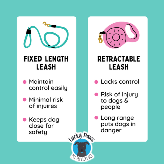 The Leash Lowdown: Fixed vs Flexi